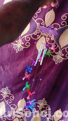 Pakhi